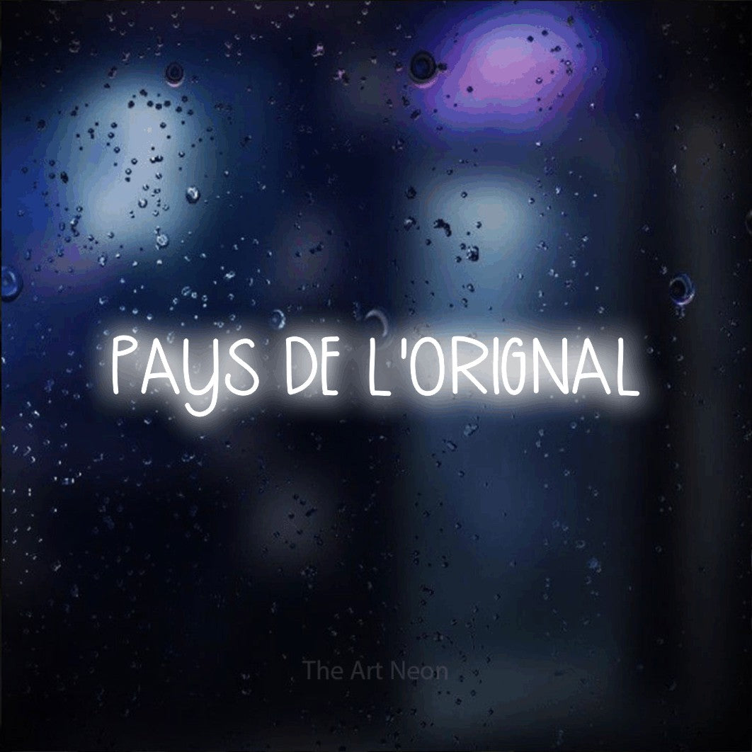 “Pays de l'orignal” LED neon sign in cool white, with narrow hand-drawn lettering, shown against glass with blue and purple reflections.