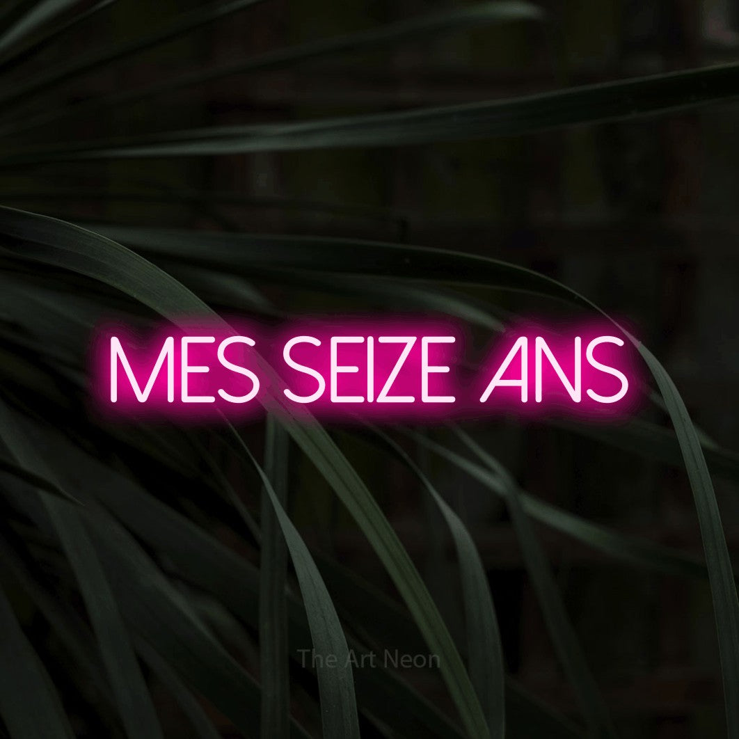 “Mes seize ans” LED neon sign in hot pink, with thin sans-serif lettering, shown against a close-up of dark foliage.