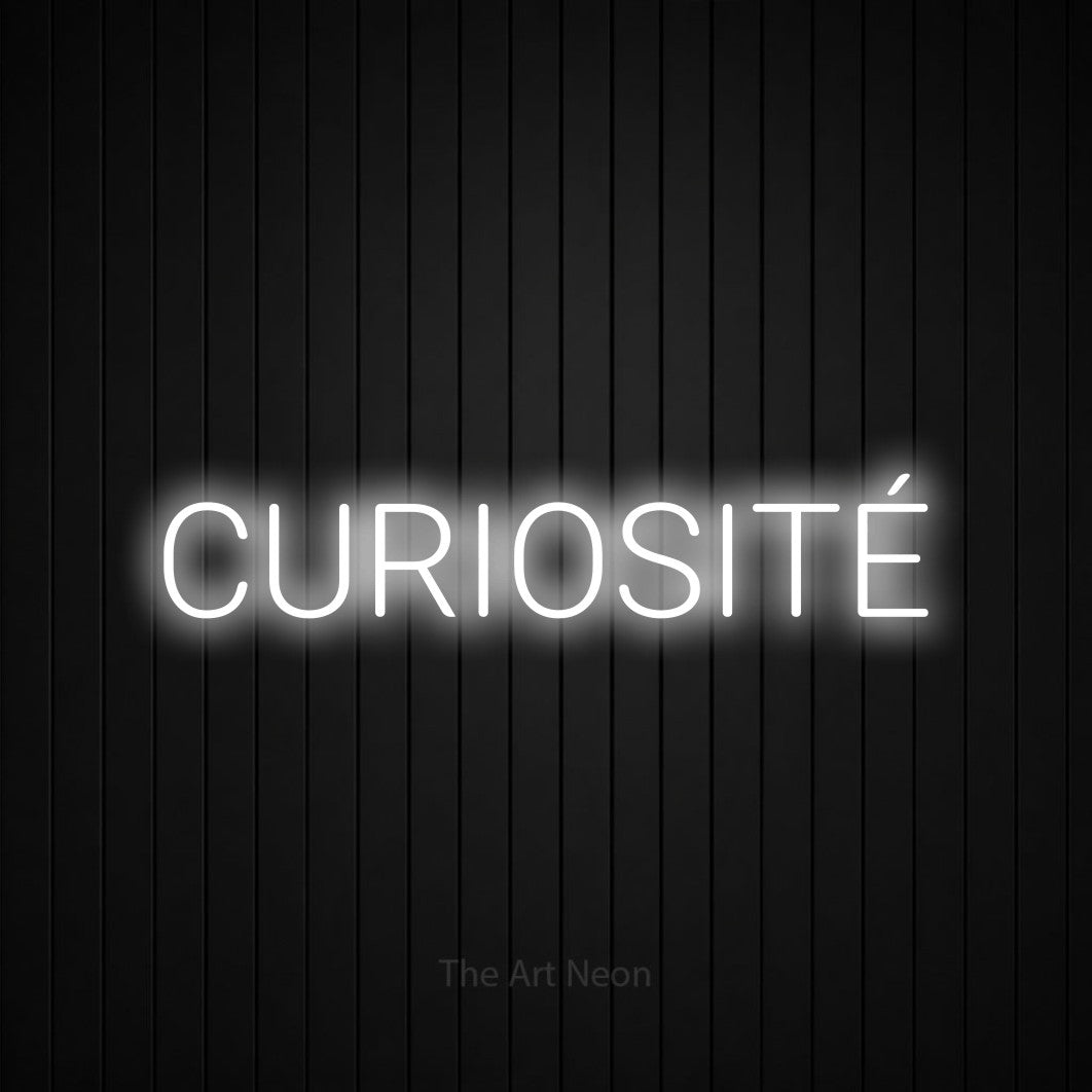 “Curiosité” LED neon sign in cool white, with rounded sans-serif lettering, shown against black vertical wall slats.