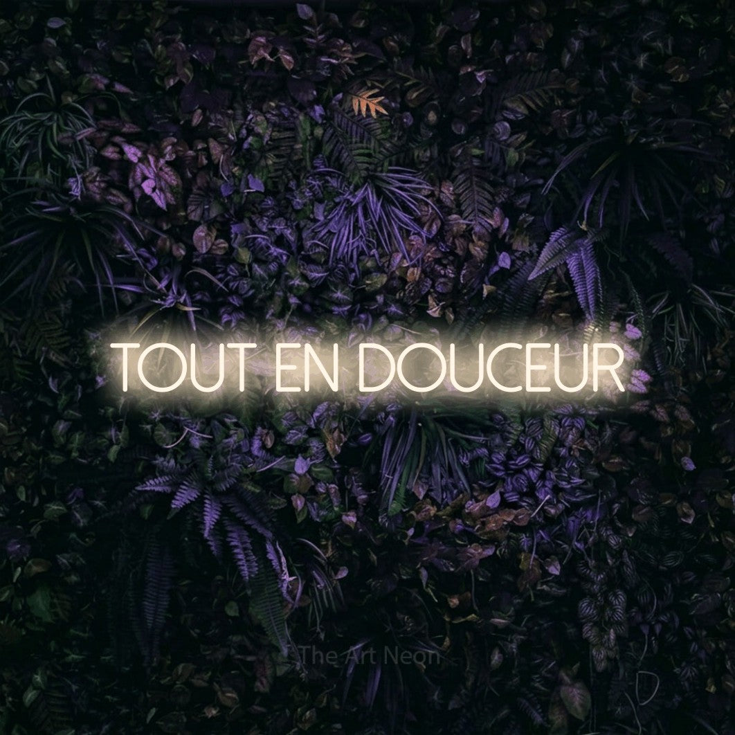 “Tout en douceur” LED neon sign in warm white, with thin sans-serif lettering, shown against a dark wall with purple flowers.