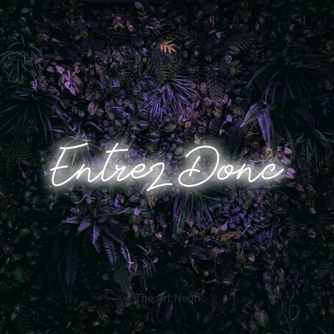“Entrez donc” LED neon sign in cool white, with cursive lettering, shown against a dark wall with purple flowers.