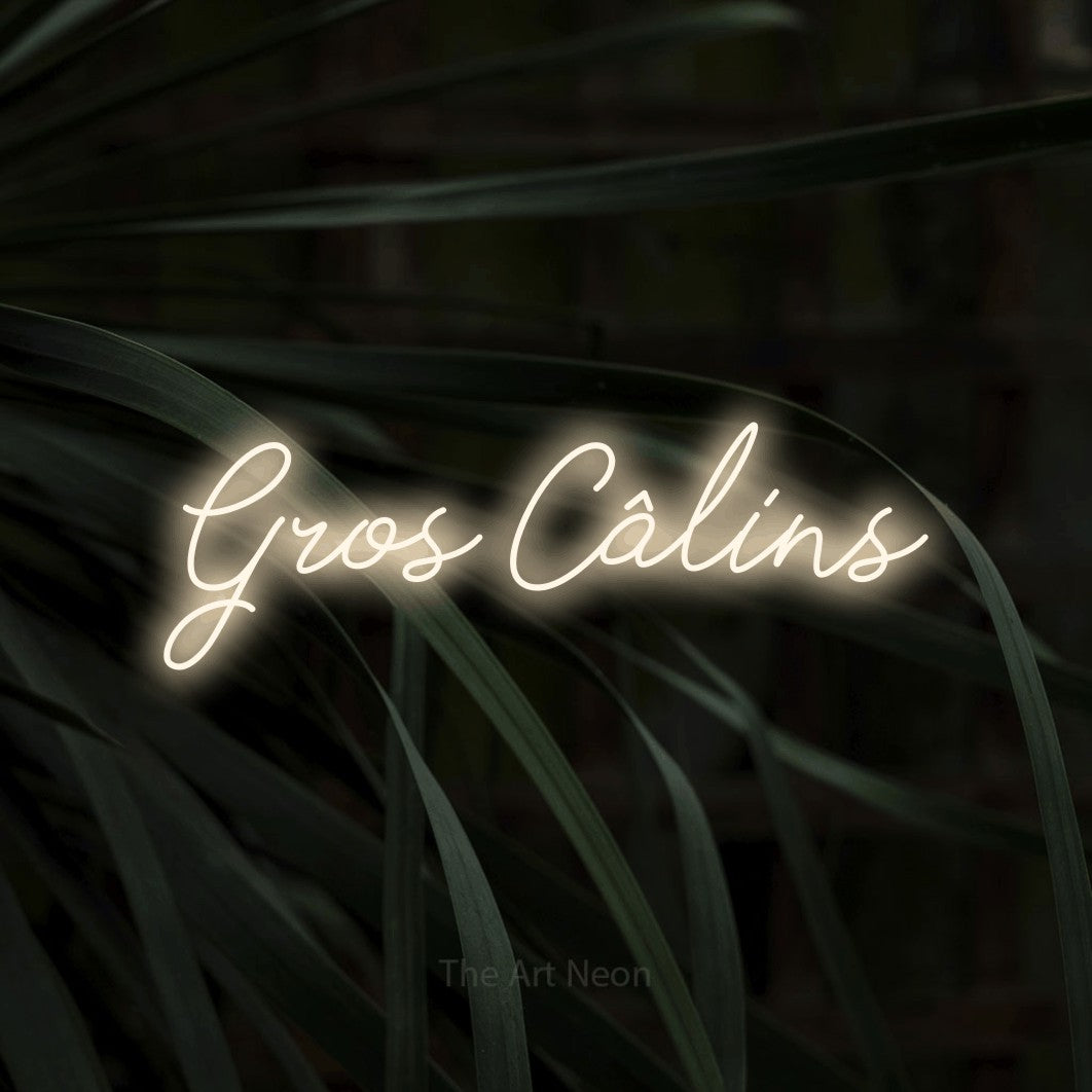 “Gros câlins” LED neon sign in warm white, with cursive lettering, shown against a close-up of dark foliage.