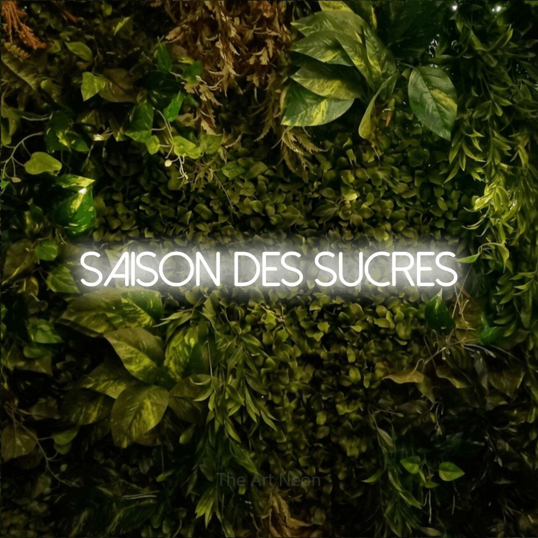 “Saison des sucres” LED neon sign in cool white, with thin sans-serif lettering, shown against bright green and yellow foliage.