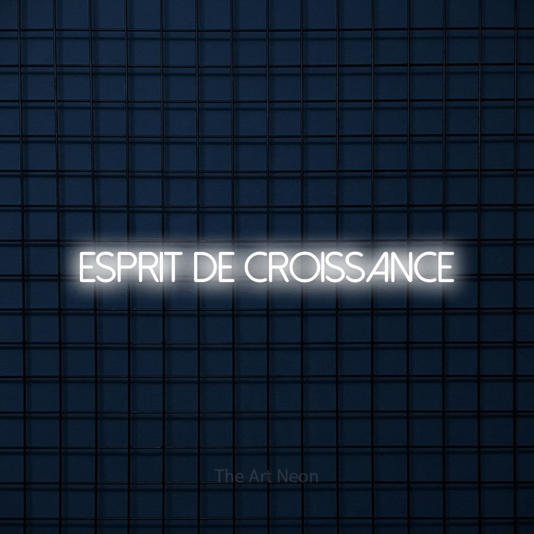 “Esprit de croissance” LED neon sign in cool white, with thin sans-serif lettering, shown against a dark blue grid.