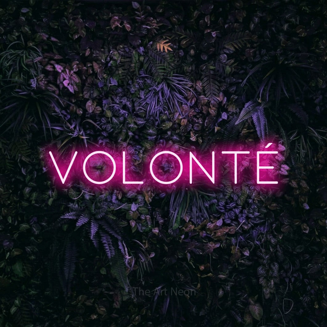 “Volonté” LED neon sign in hot pink, with thin, widely spaced lettering, shown against a dark wall with purple flowers.