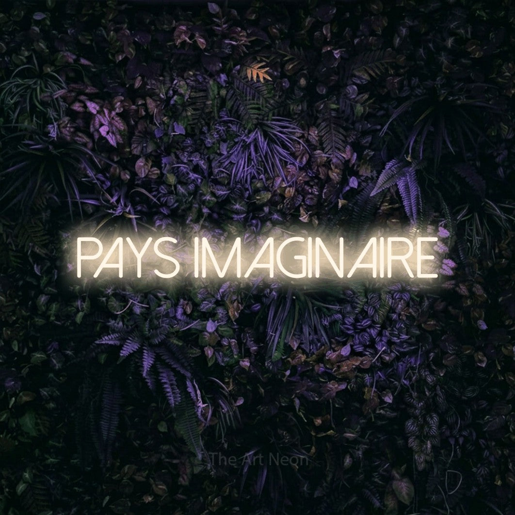 “Pays imaginaire” LED neon sign in warm white, with thin sans-serif lettering, shown against a dark wall with purple flowers.