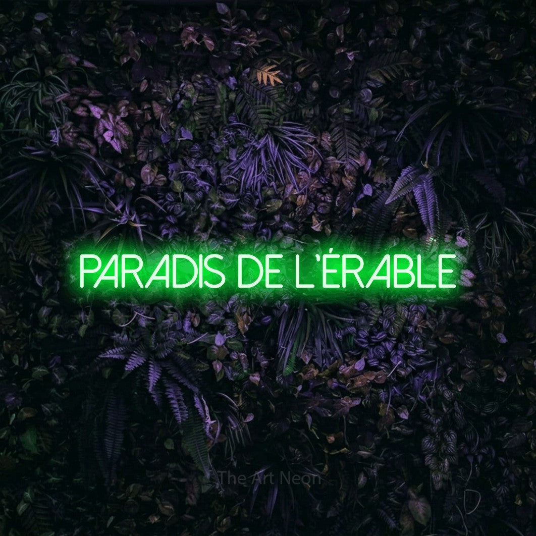 “Paradis de l'érable” LED neon sign in green, with thin sans-serif lettering, shown against a dark wall with purple flowers.