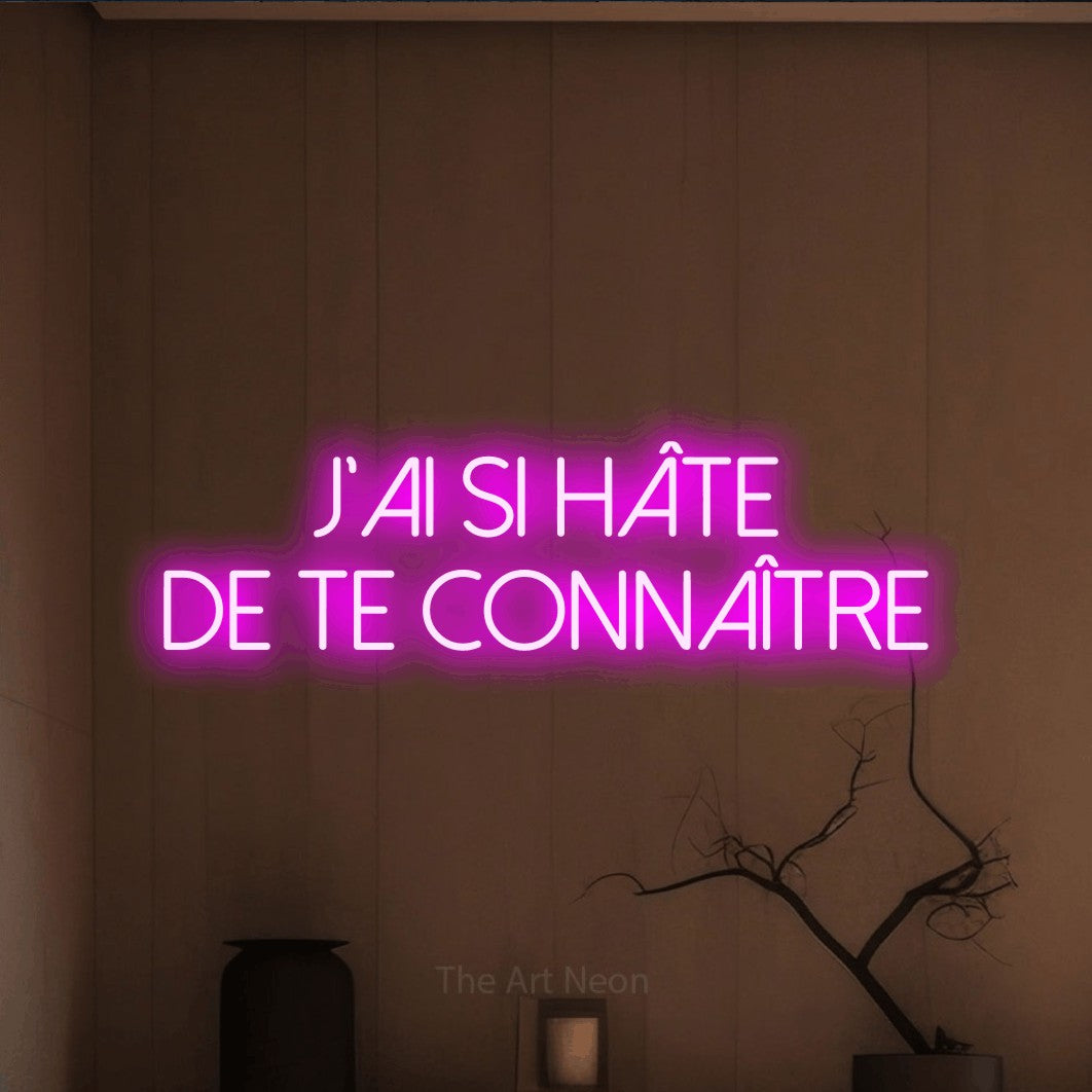 Lettrage en néon LED « J'ai si hâte de te connaître » sur deux lignes en rose, en lettres fines sans empattement, présenté dans un intérieur épuré aux tons terre, pour une fête prénatale.